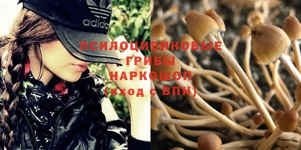 дмт Вяземский