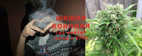 дмт Вяземский